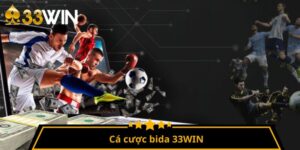 Cá cược bida 33WIN